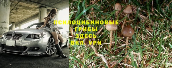 сатива Осташков