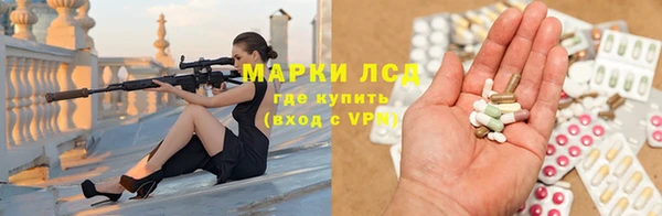 СК Осинники