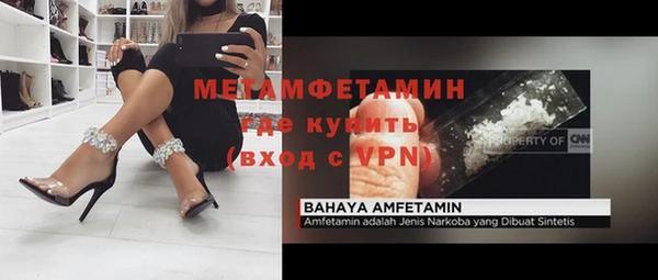 сатива Осташков