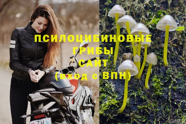 эйфоретик Остров