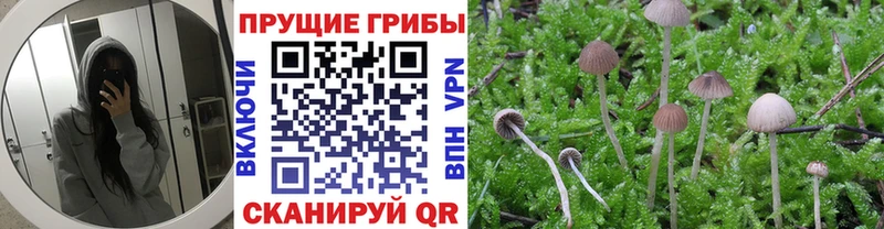 Купить  Ржев  Галлюциногенные грибы мухоморы 